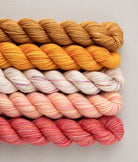 SweetGeorgia Yarns Mini-Skein Yarn Sets Knitter's Delight