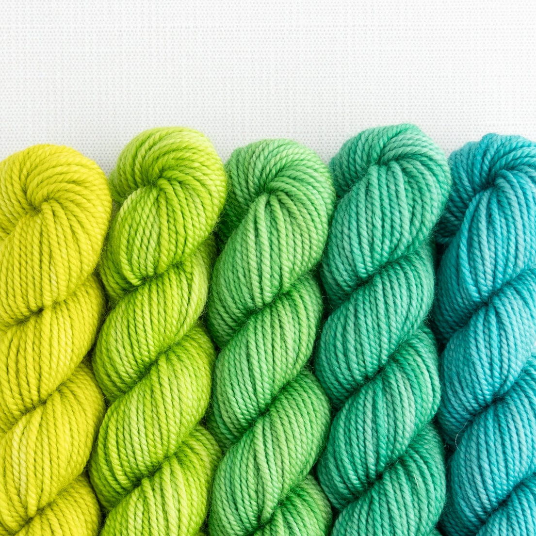 SweetGeorgia Yarns Mini-Skein Yarn Sets Picnic in the Park Party of Five / Superwash DK / Mini-Skein Set
