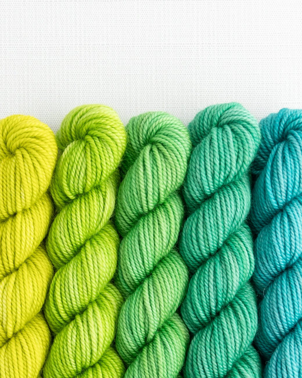 SweetGeorgia Yarns Mini-Skein Yarn Sets Picnic in the Park Party of Five / Superwash DK / Mini-Skein Set