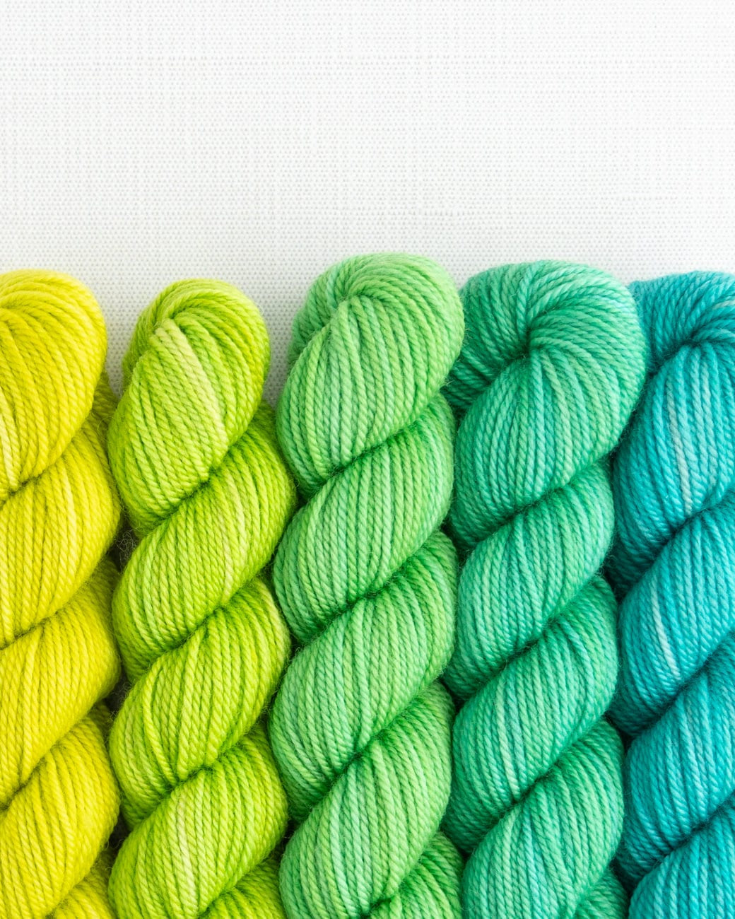 SweetGeorgia Yarns Mini-Skein Yarn Sets Picnic in the Park Party of Five / Tough Love / Mini-Skein Set