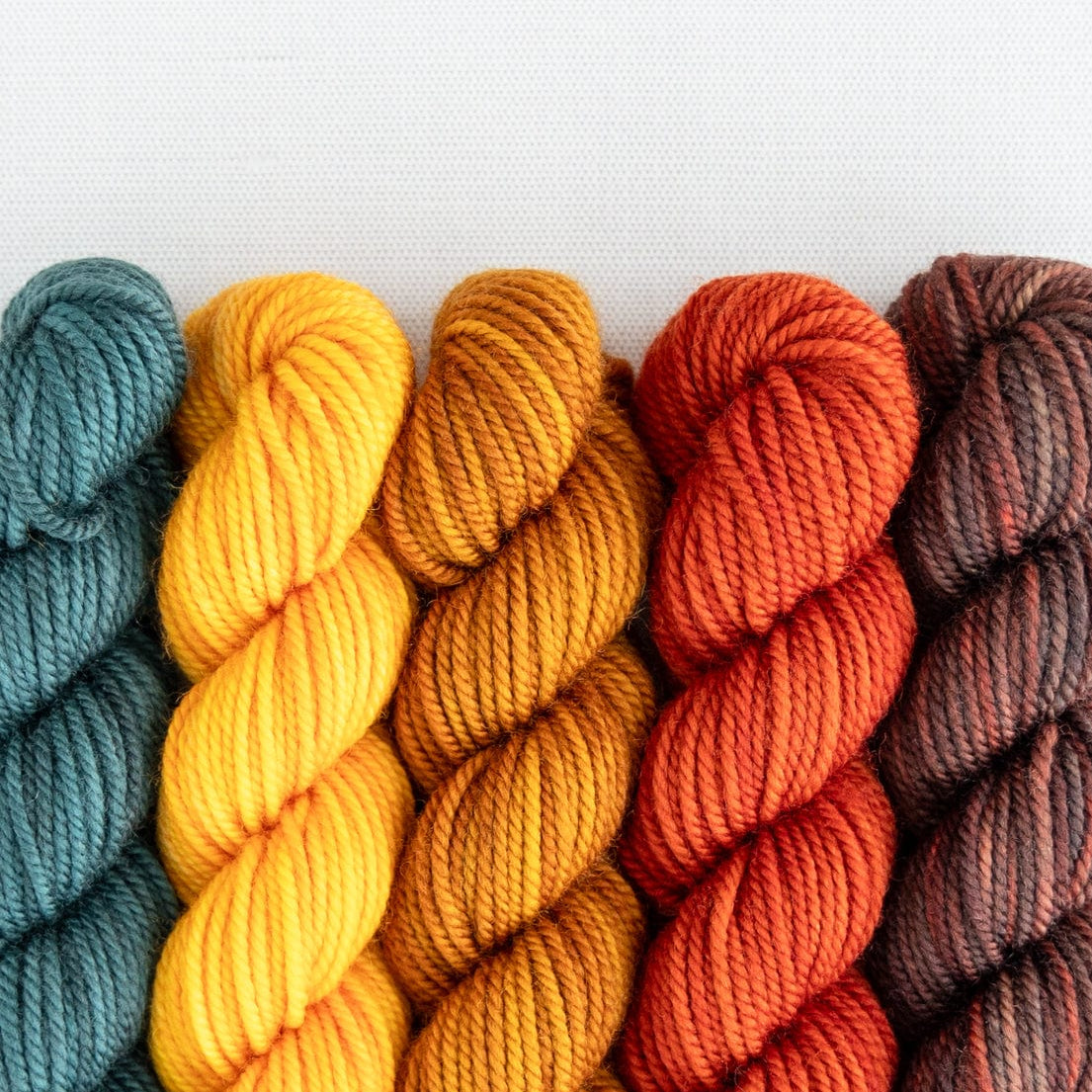 SweetGeorgia Yarns Mini-Skein Yarn Sets Pine Island Party of Five / Superwash DK / Mini-Skein Set