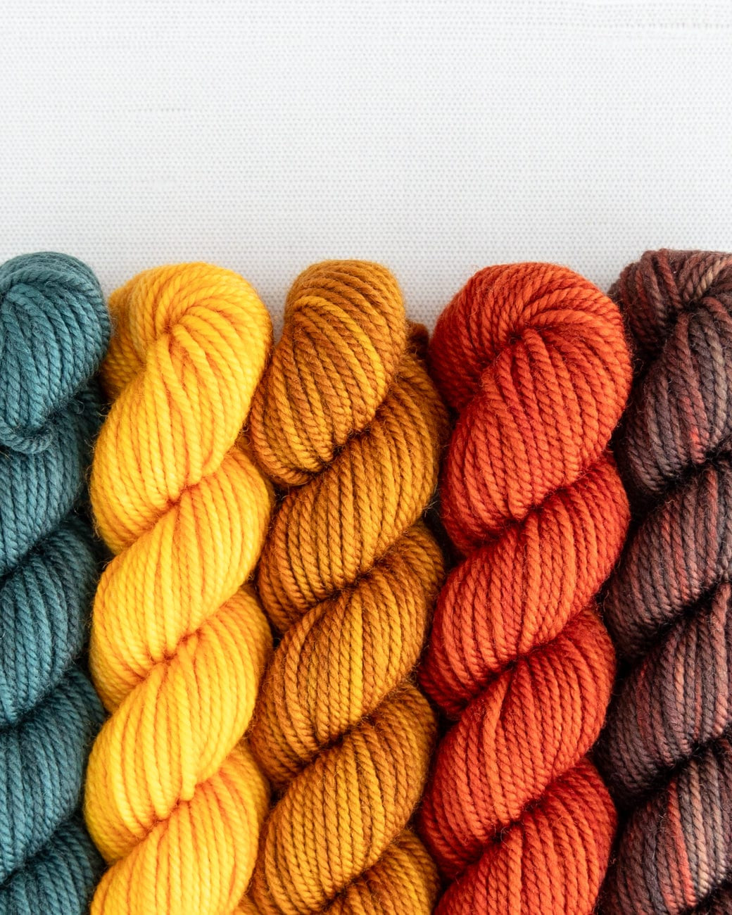SweetGeorgia Yarns Mini-Skein Yarn Sets Pine Island Party of Five / Superwash DK / Mini-Skein Set