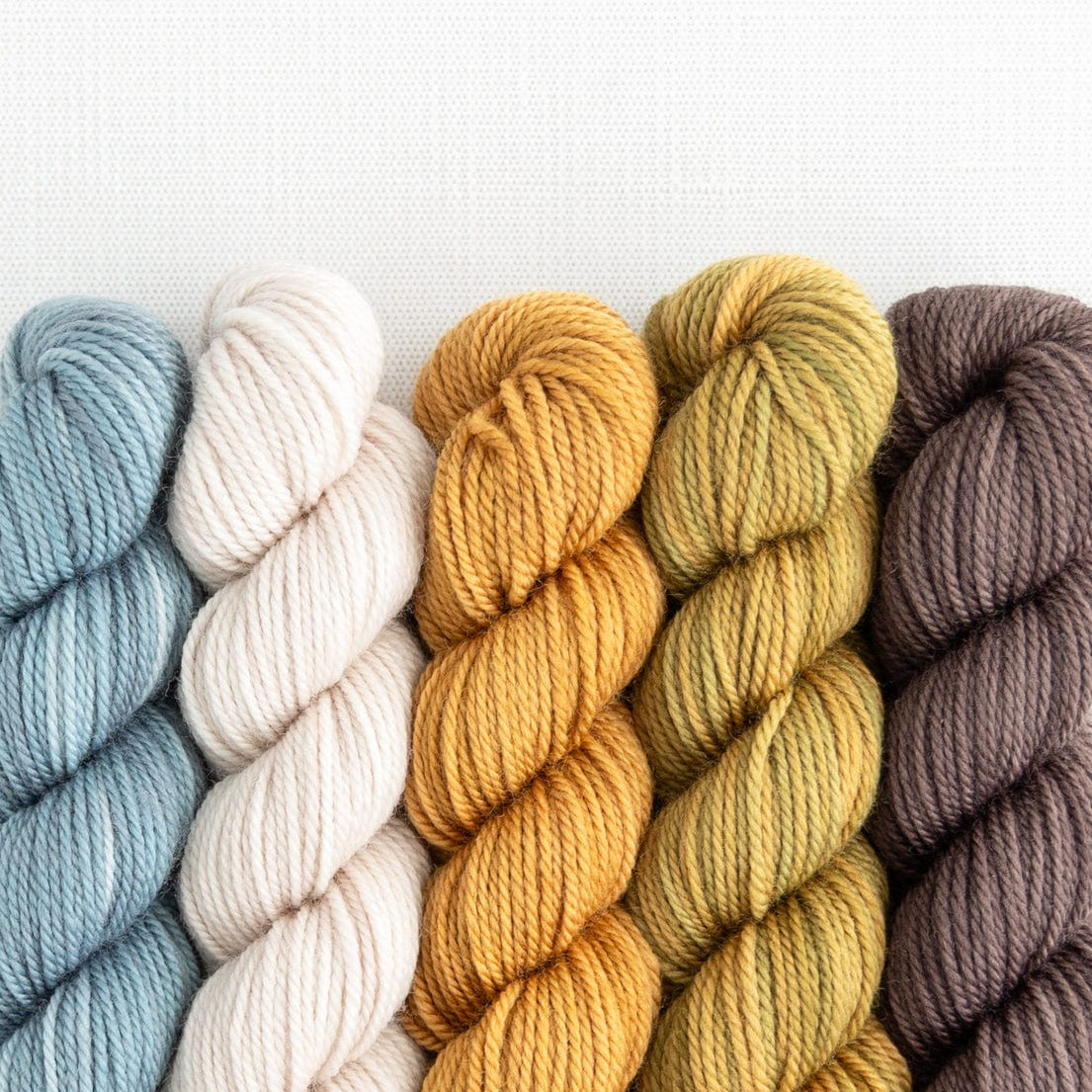 SweetGeorgia Yarns Mini-Skein Yarn Sets Tofino Roadtrip Party of Five / Tough Love / Mini-Skein Set