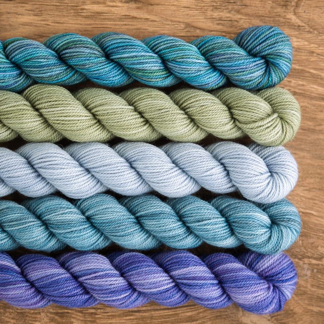 SweetGeorgia Yarns Mini-Skein Yarn Sets Wild Thistle Party of Five / Tough Love / Mini-Skein Set