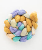 SweetGeorgia Yarns Spinning Fibre Beachside Brunch Targhee Spinning Fibre