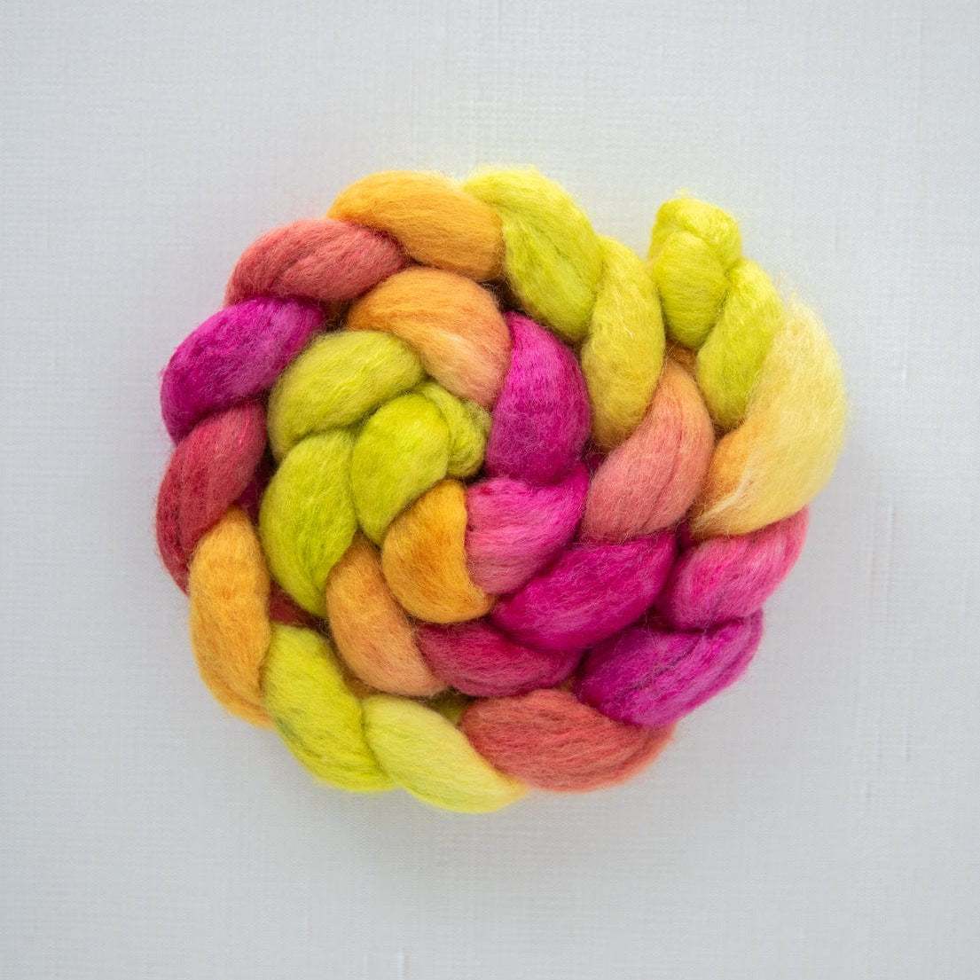 SweetGeorgia Yarns Spinning Fibre BFL+Silk / Celebrating at Cleveland Park True North Collection