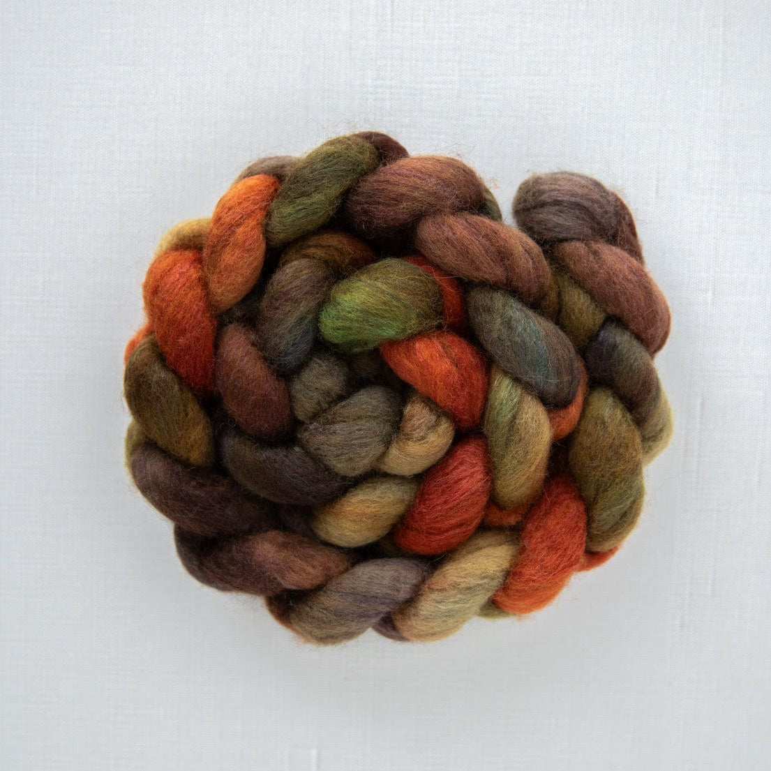 SweetGeorgia Yarns Spinning Fibre BFL+Silk / Driving to Muskoka True North Collection