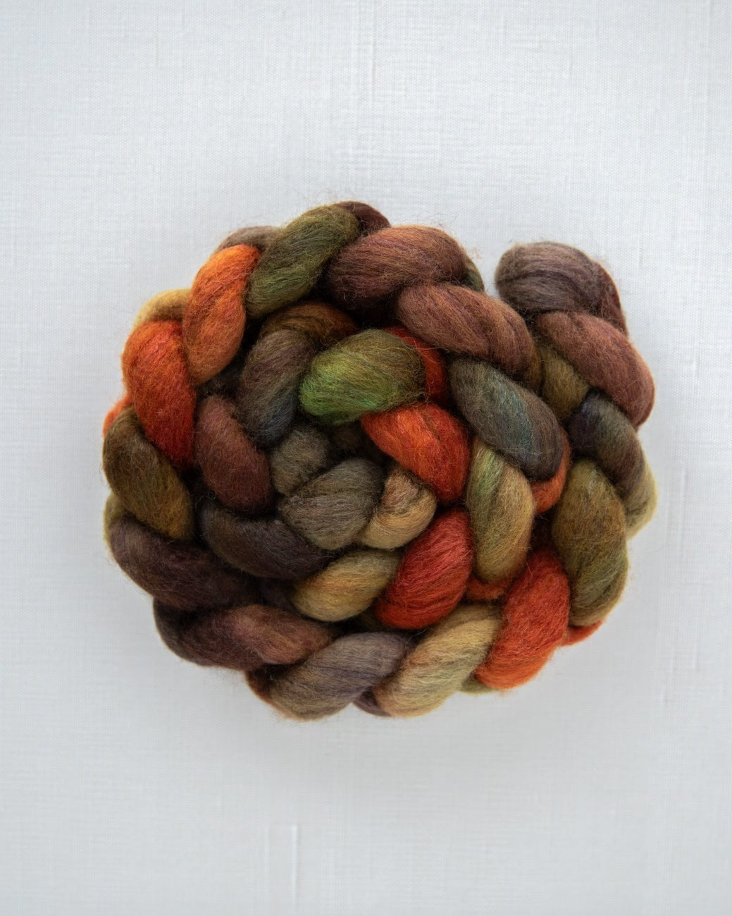 SweetGeorgia Yarns Spinning Fibre BFL+Silk / Driving to Muskoka True North Collection