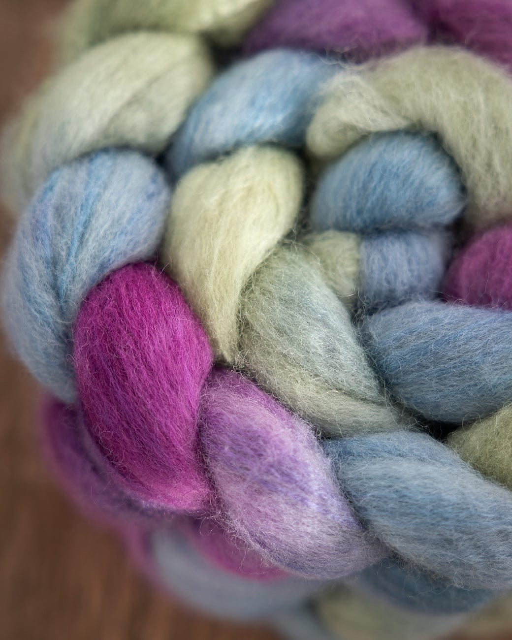 SweetGeorgia Yarns Spinning Fibre BFL+Silk Wild Thistle