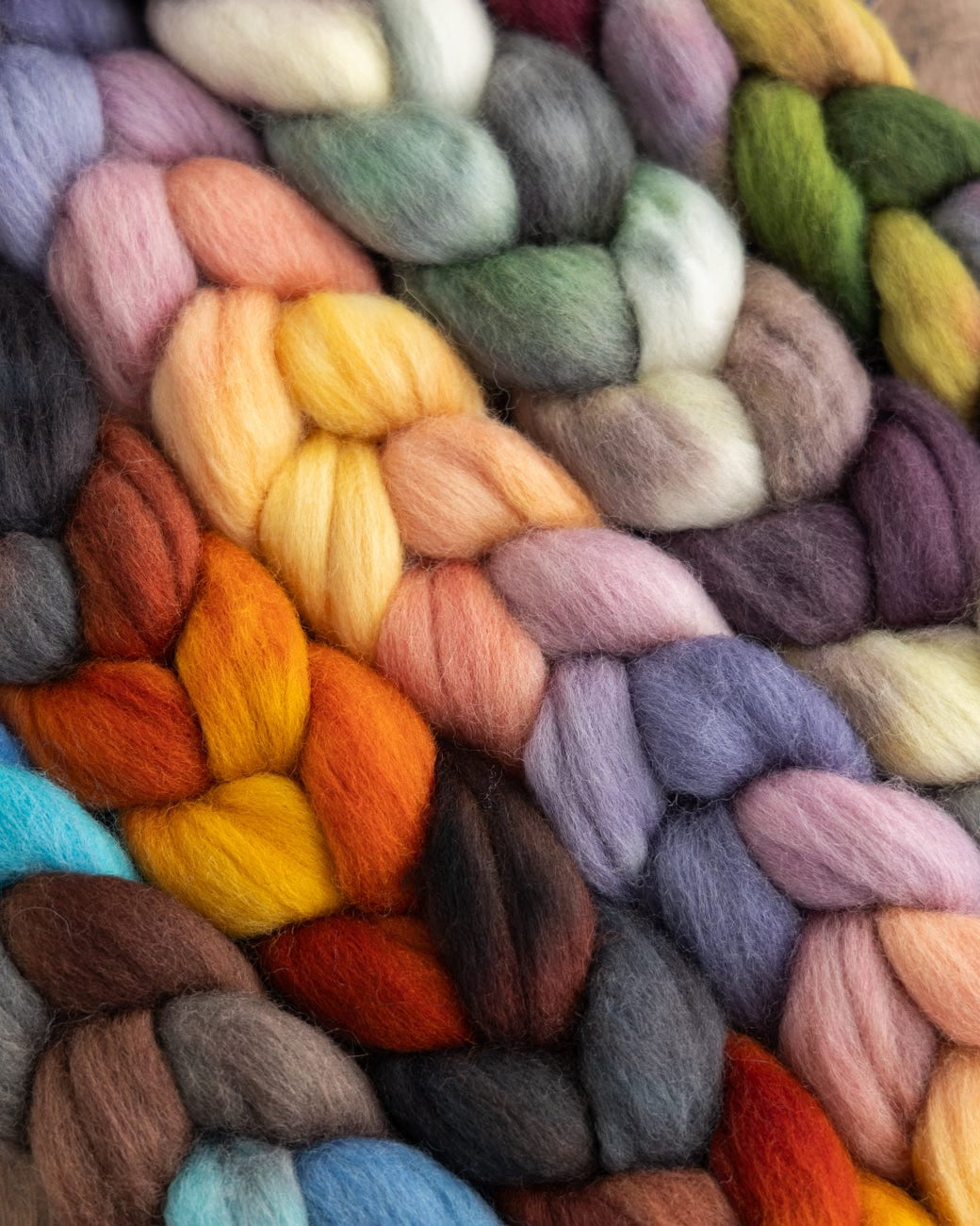 SweetGeorgia Yarns Spinning Fibre Colour Collab: Winter Inspirations