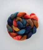 SweetGeorgia Yarns Spinning Fibre Corriedale / Banff Bonfire True North Collection
