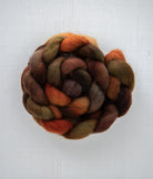 SweetGeorgia Yarns Spinning Fibre Corriedale / Driving to Muskoka True North Collection