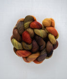 SweetGeorgia Yarns Spinning Fibre Polwarth+Silk / Driving to Muskoka True North Collection