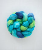 SweetGeorgia Yarns Spinning Fibre Polwarth+Silk / Peggy's Cove True North Collection