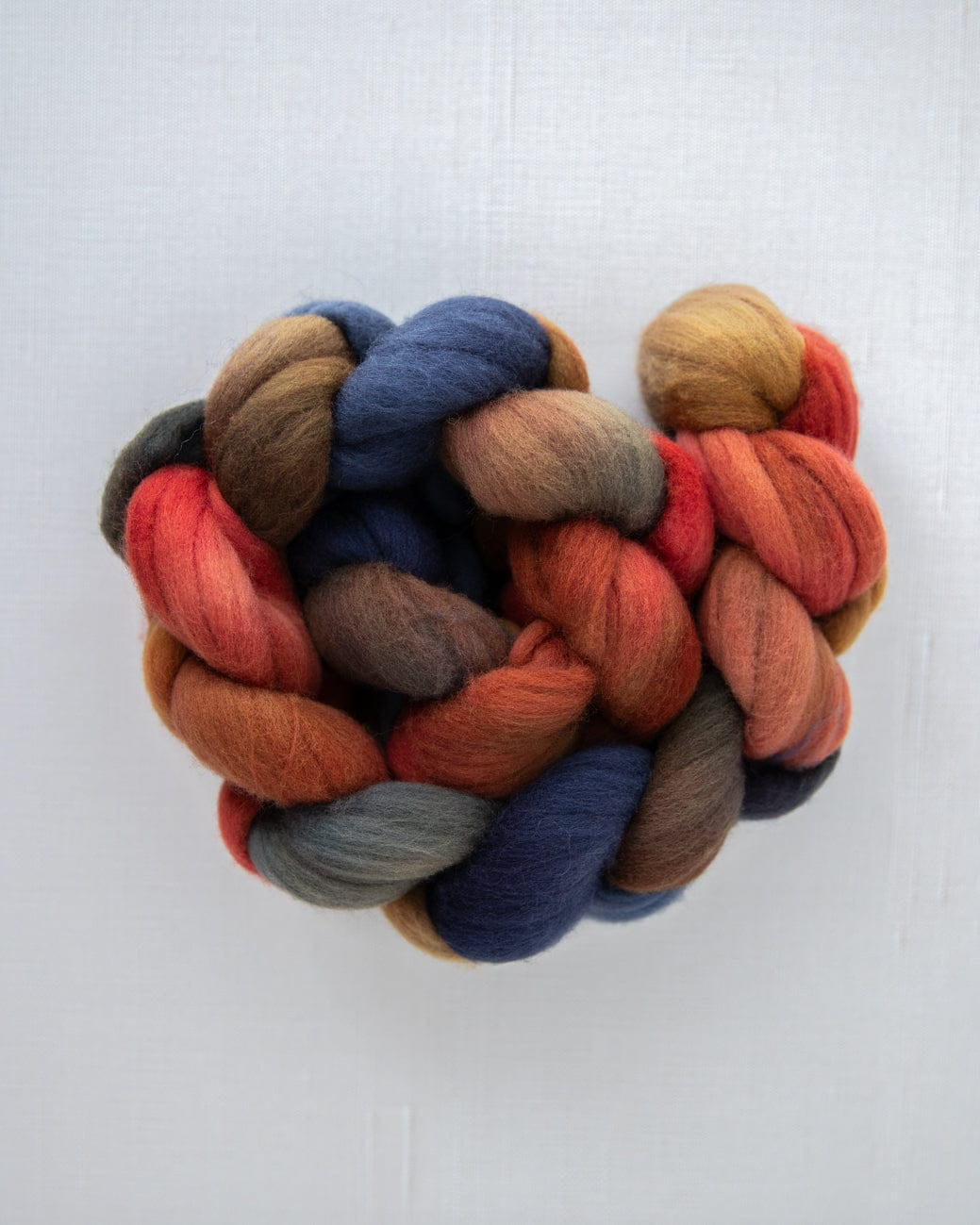 SweetGeorgia Yarns Spinning Fibre Targhee / Banff Bonfire True North Collection