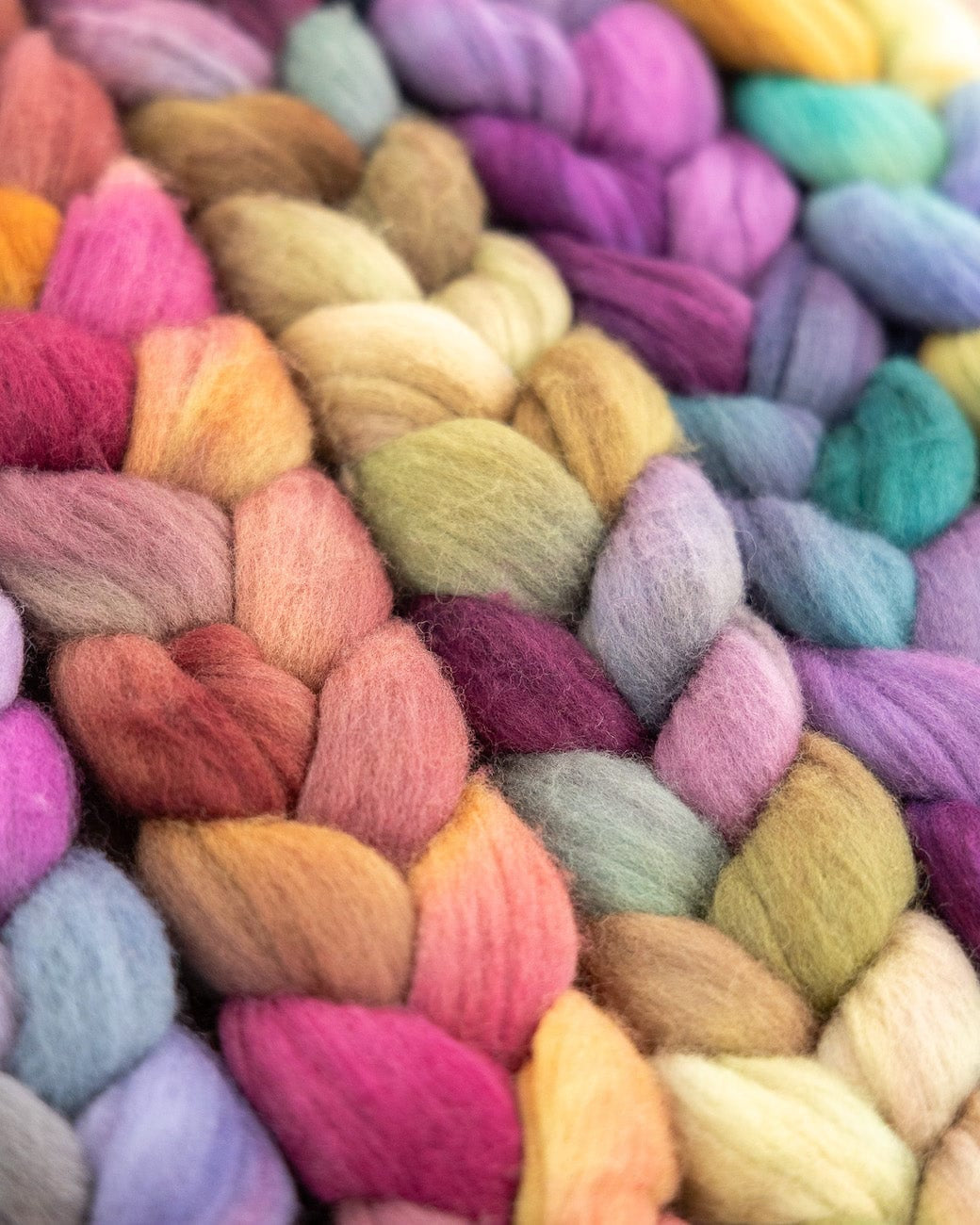 SweetGeorgia Yarns Spinning Fibre Targhee Spinning Fibre