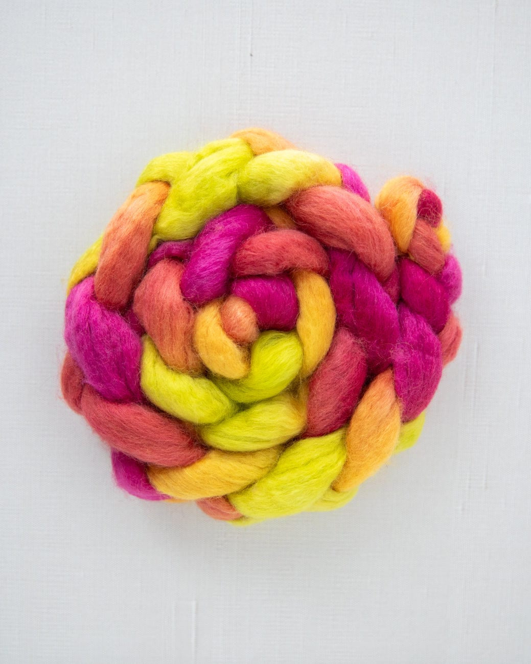 SweetGeorgia Yarns Spinning Fibre Trifecta / Celebrating at Cleveland Park True North Collection