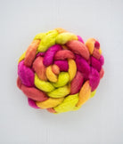 SweetGeorgia Yarns Spinning Fibre Trifecta / Celebrating at Cleveland Park True North Collection