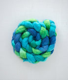 SweetGeorgia Yarns Spinning Fibre Trifecta / Peggy's Cove True North Collection