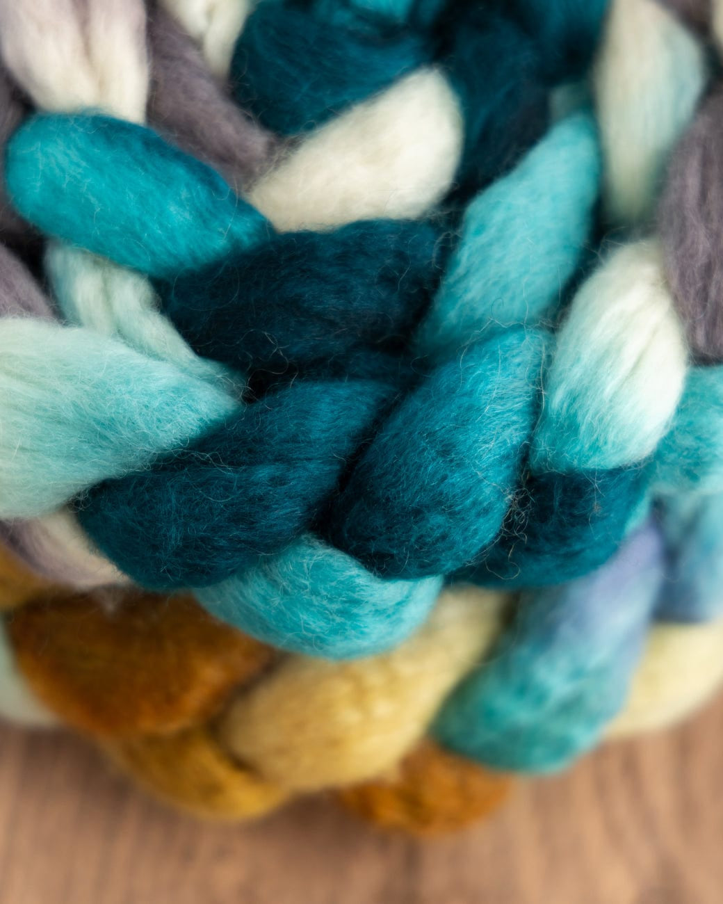 SweetGeorgia Yarns Spinning Fibre Trifecta Spinning Fibre