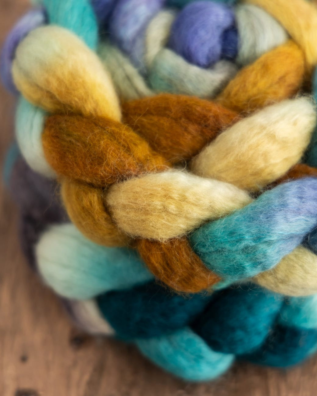 SweetGeorgia Yarns Spinning Fibre Trifecta Spinning Fibre