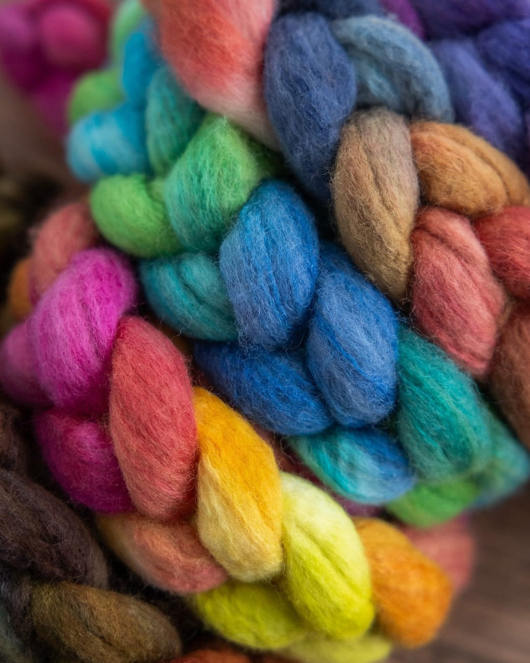 SweetGeorgia Yarns Spinning Fibre True North Collection