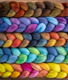 SweetGeorgia Yarns Spinning Fibre True North Collection