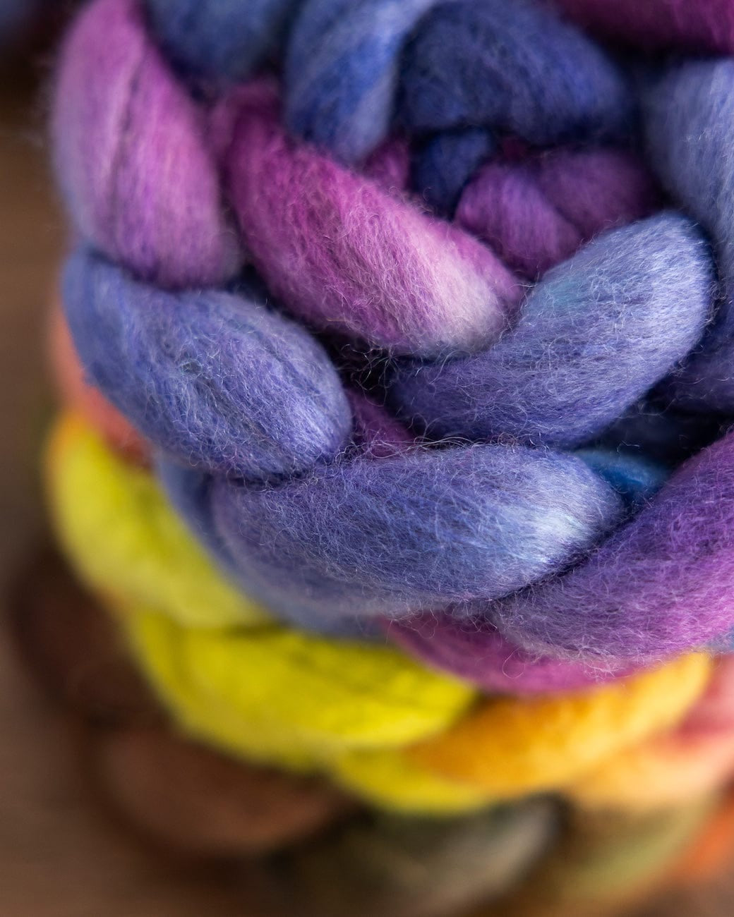 SweetGeorgia Yarns Spinning Fibre True North Collection