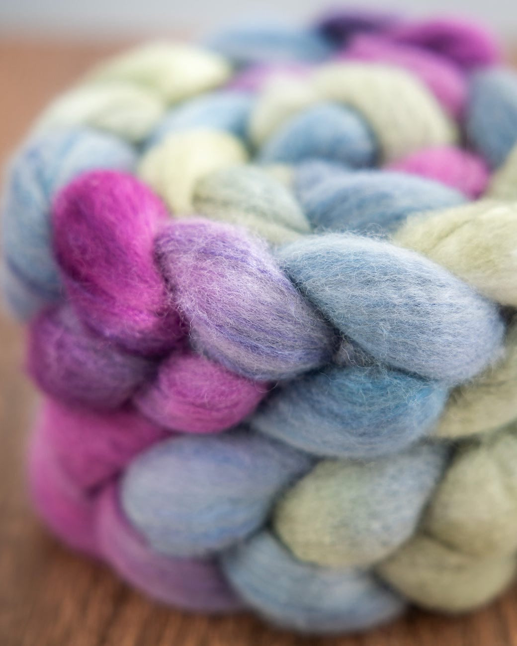SweetGeorgia Yarns Spinning Fibre Wild Thistle