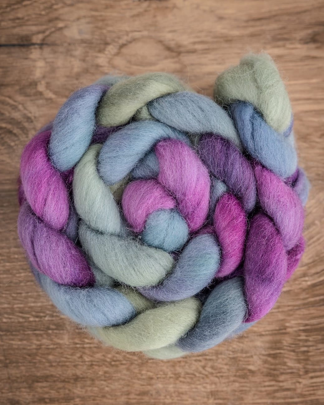 SweetGeorgia Yarns Spinning Fibre Wild Thistle