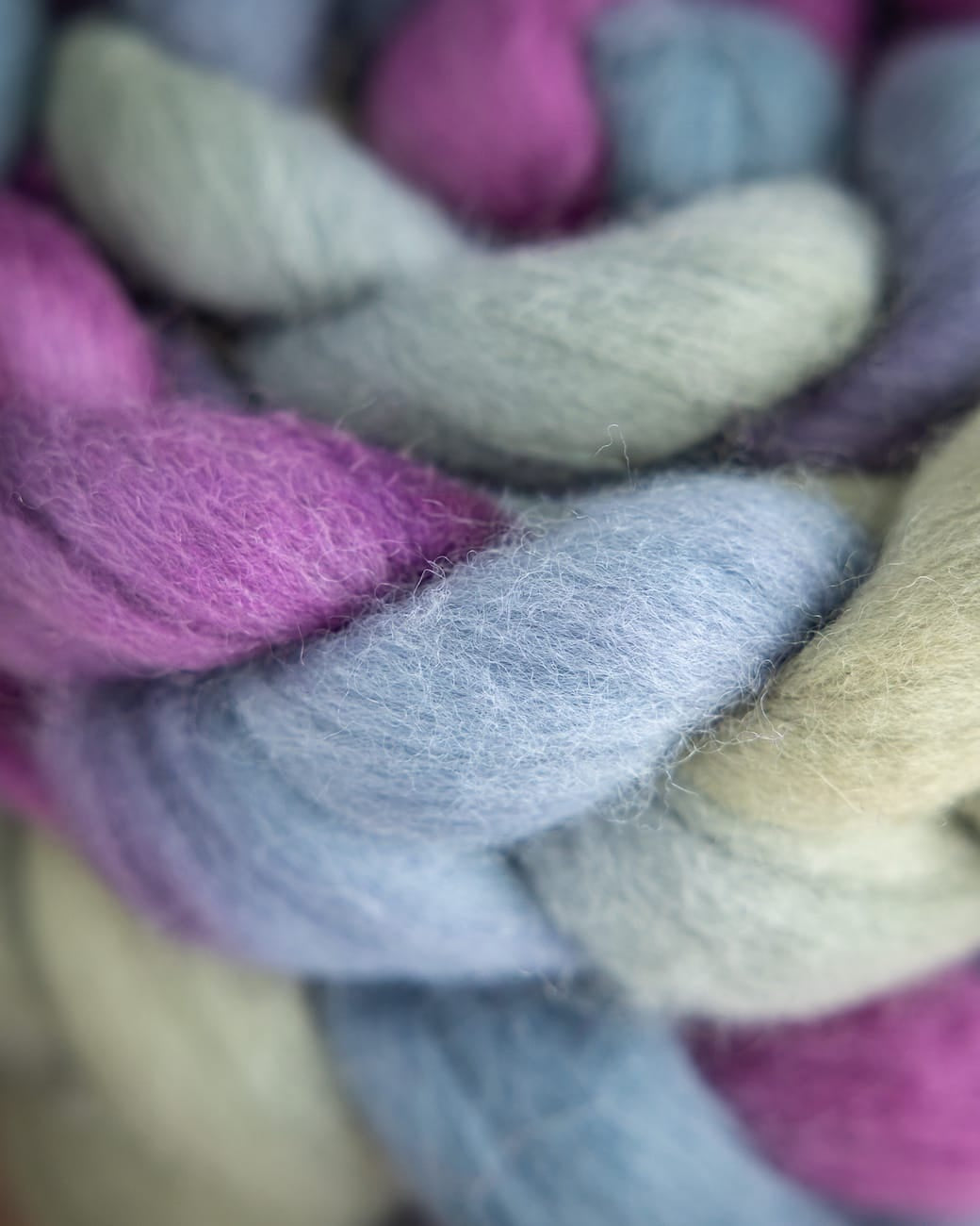 SweetGeorgia Yarns Spinning Fibre Wild Thistle