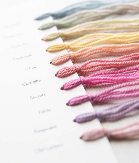 SweetGeorgia Yarns Tools & Accessories Colour Cards