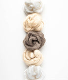SweetGeorgia Yarns Undyed Spinning Fibre Spinning Luxury Kit