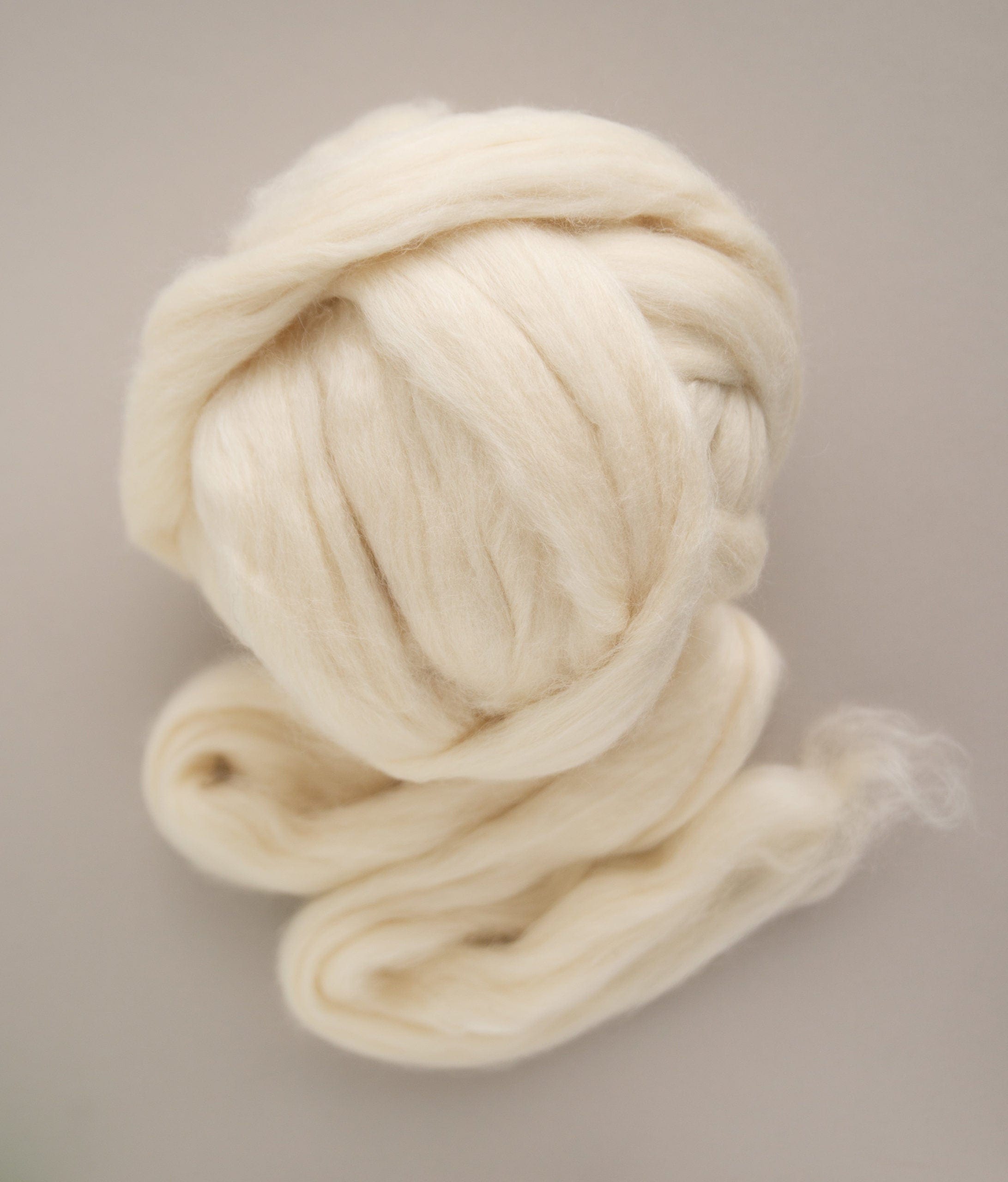 SweetGeorgia Yarns Undyed Spinning Fibre Undyed BFL+Silk Fibre (1 lb)