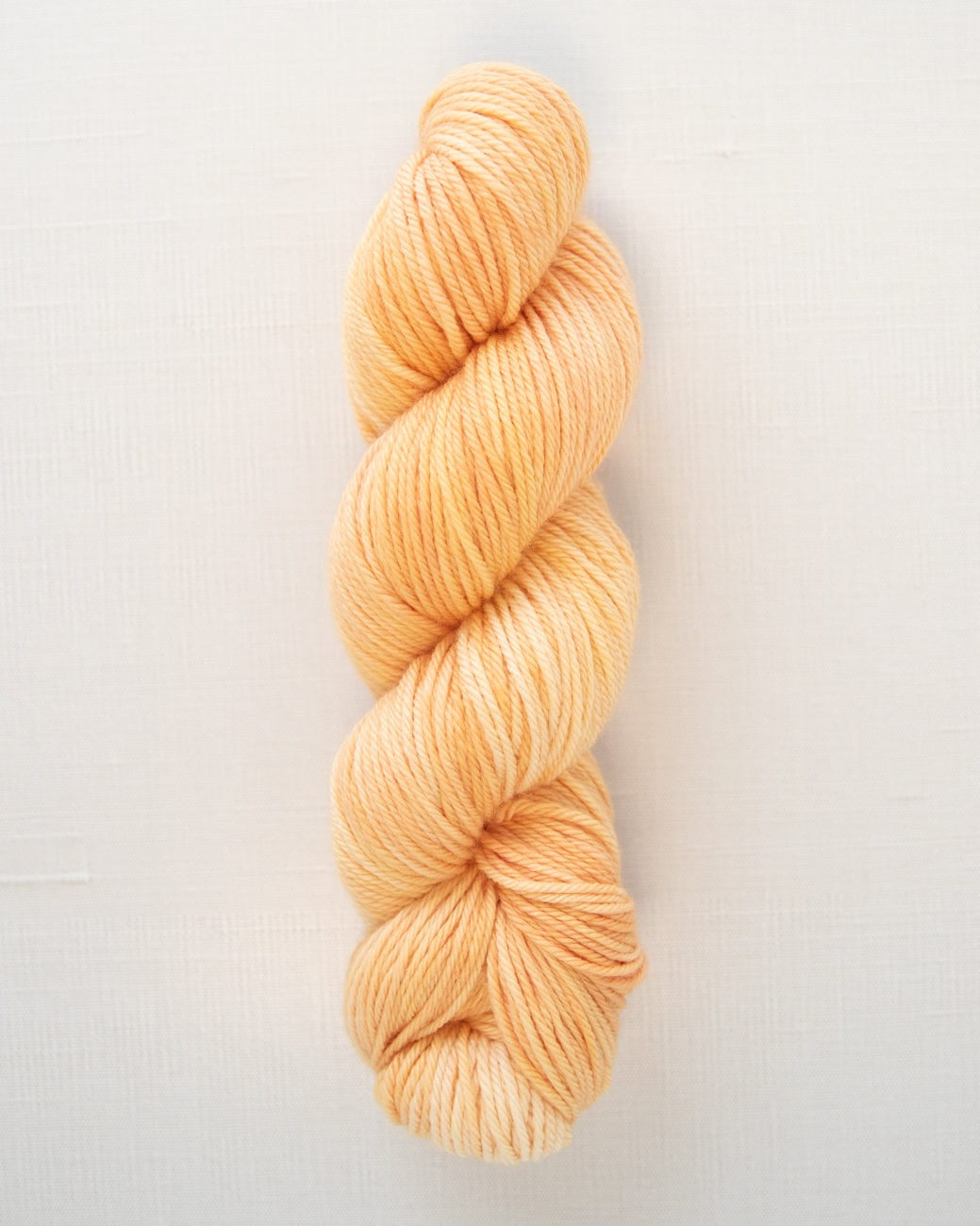 SweetGeorgia Yarns Worsted Yarns Creamsicle Superwash Worsted / Enlighten