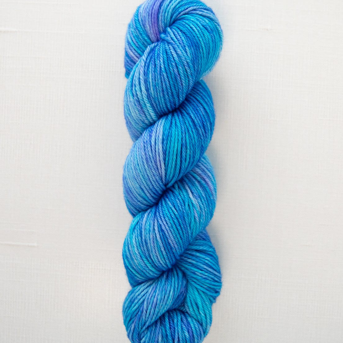 SweetGeorgia Yarns Worsted Yarns Fizzy Water Superwash Worsted