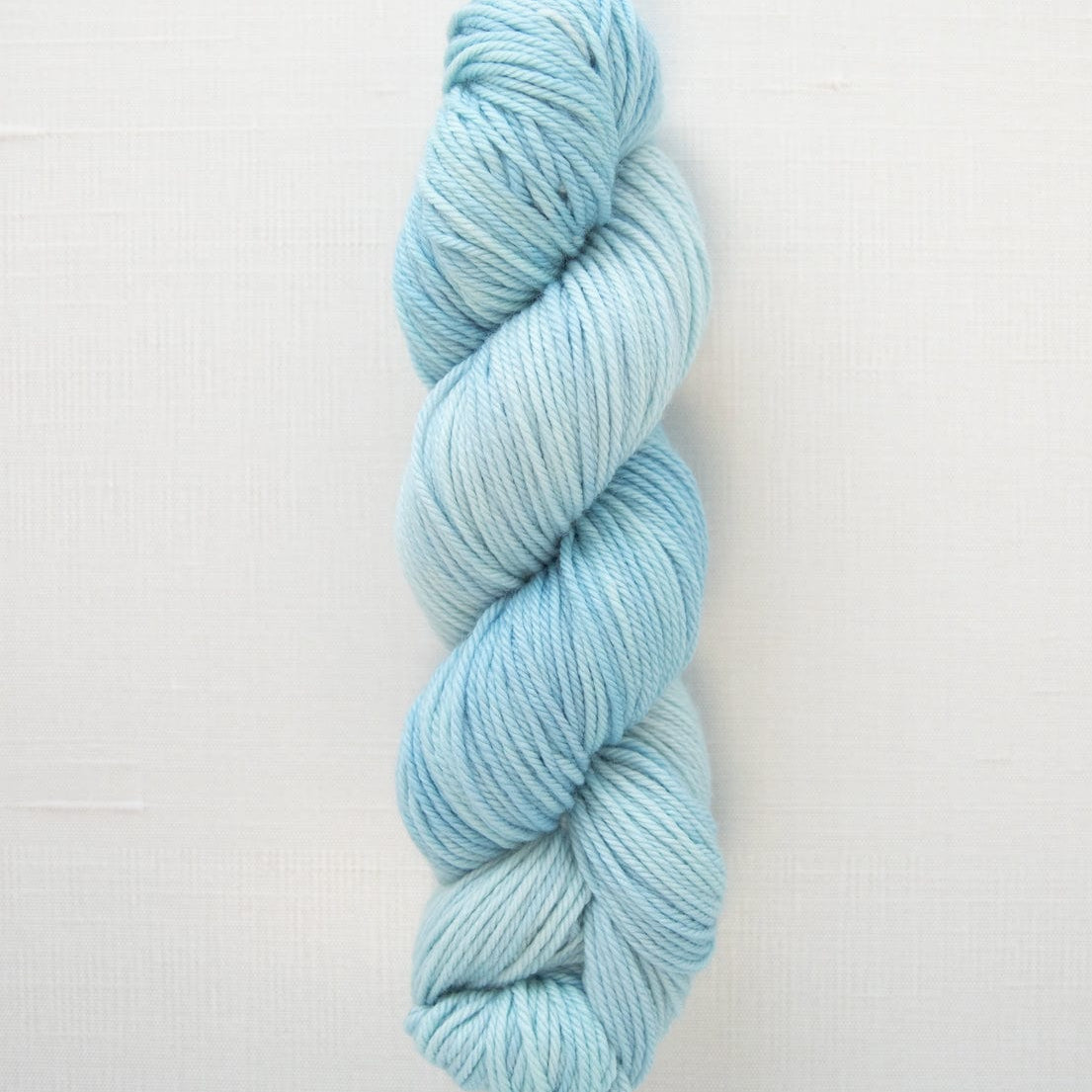 SweetGeorgia Yarns Worsted Yarns Hydrangea Superwash Worsted / Enlighten