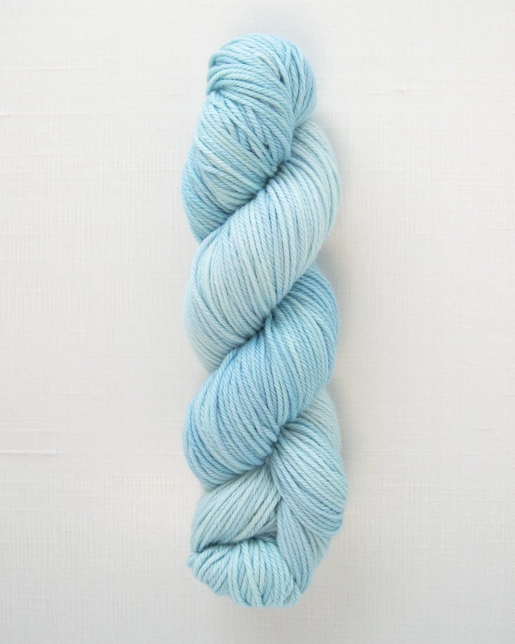 SweetGeorgia Yarns Worsted Yarns Hydrangea Superwash Worsted / Enlighten