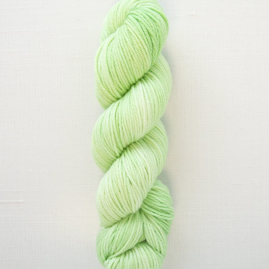 SweetGeorgia Yarns Worsted Yarns Limeade Superwash Worsted / Enlighten