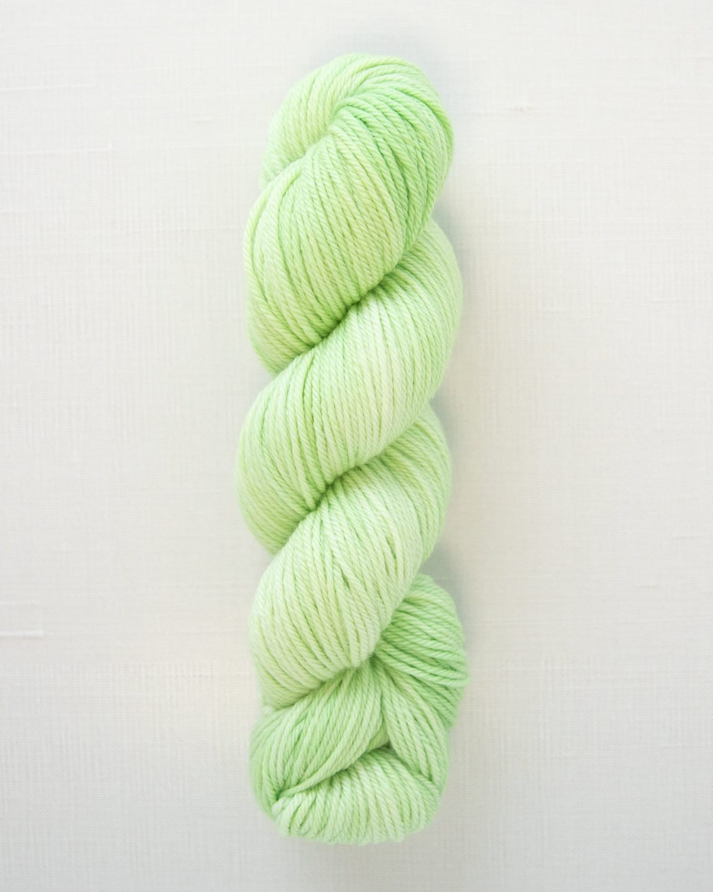 SweetGeorgia Yarns Worsted Yarns Limeade Superwash Worsted / Enlighten