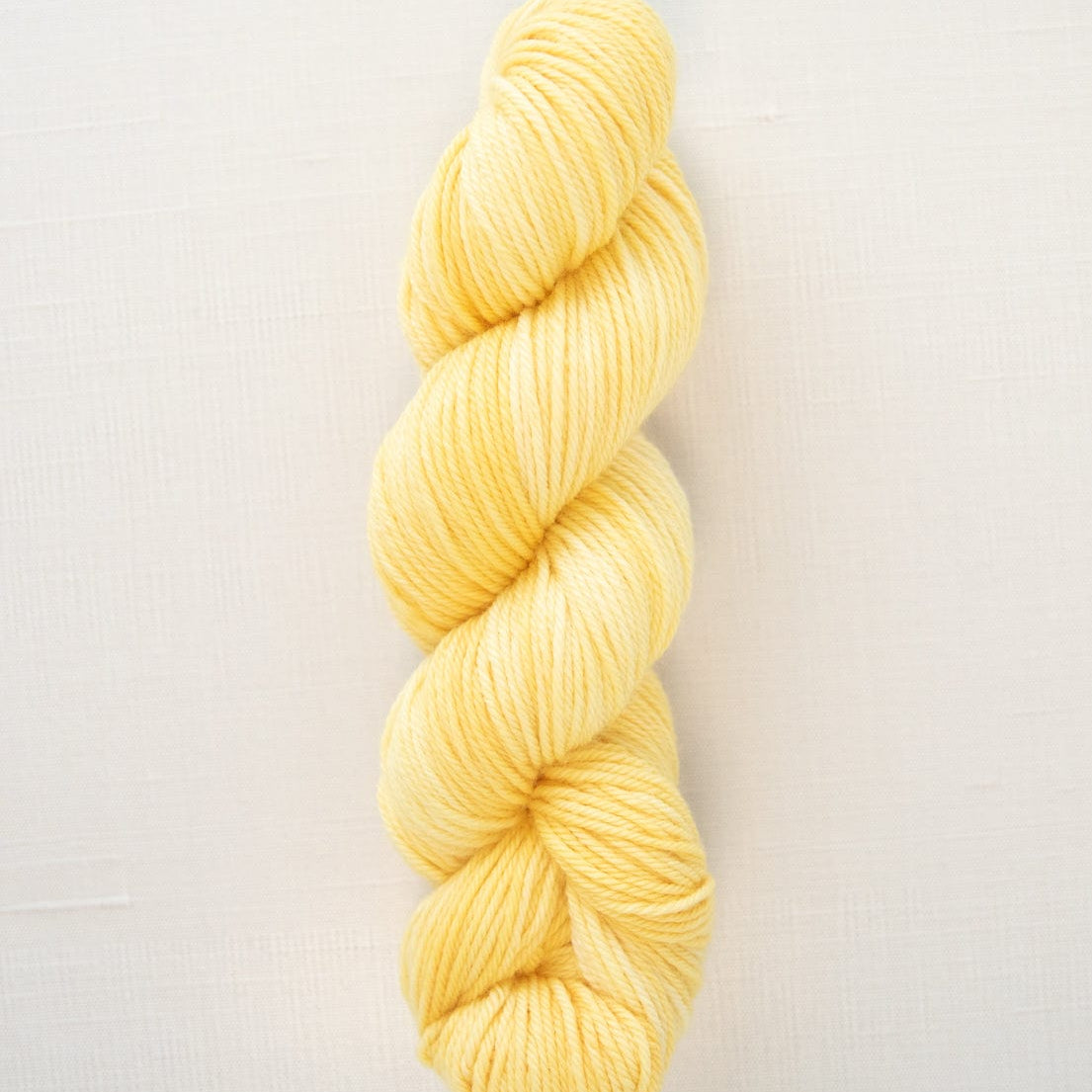 SweetGeorgia Yarns Worsted Yarns Popcorn Superwash Worsted / Enlighten