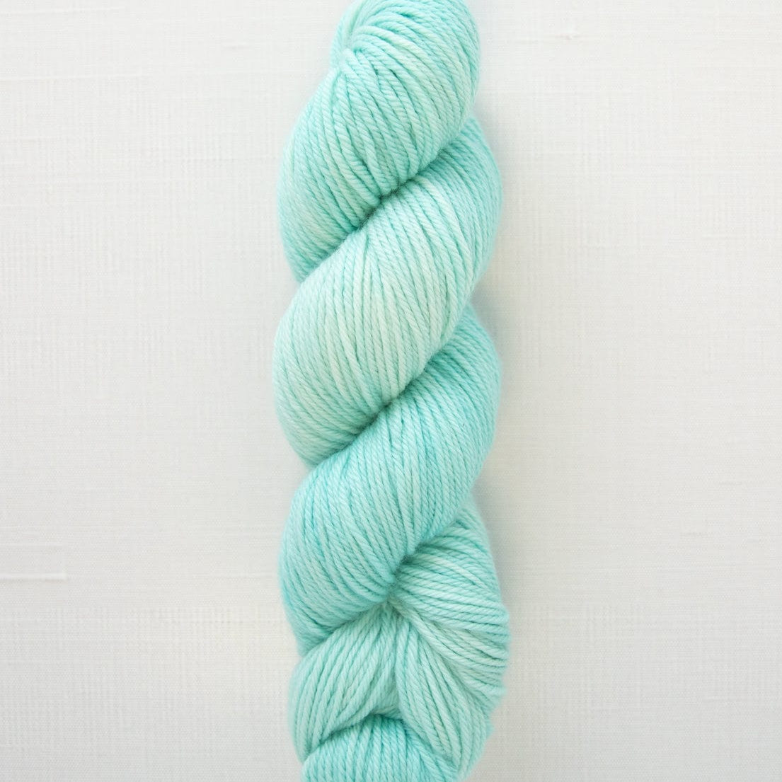 SweetGeorgia Yarns Worsted Yarns Sea Glass Superwash Worsted / Enlighten