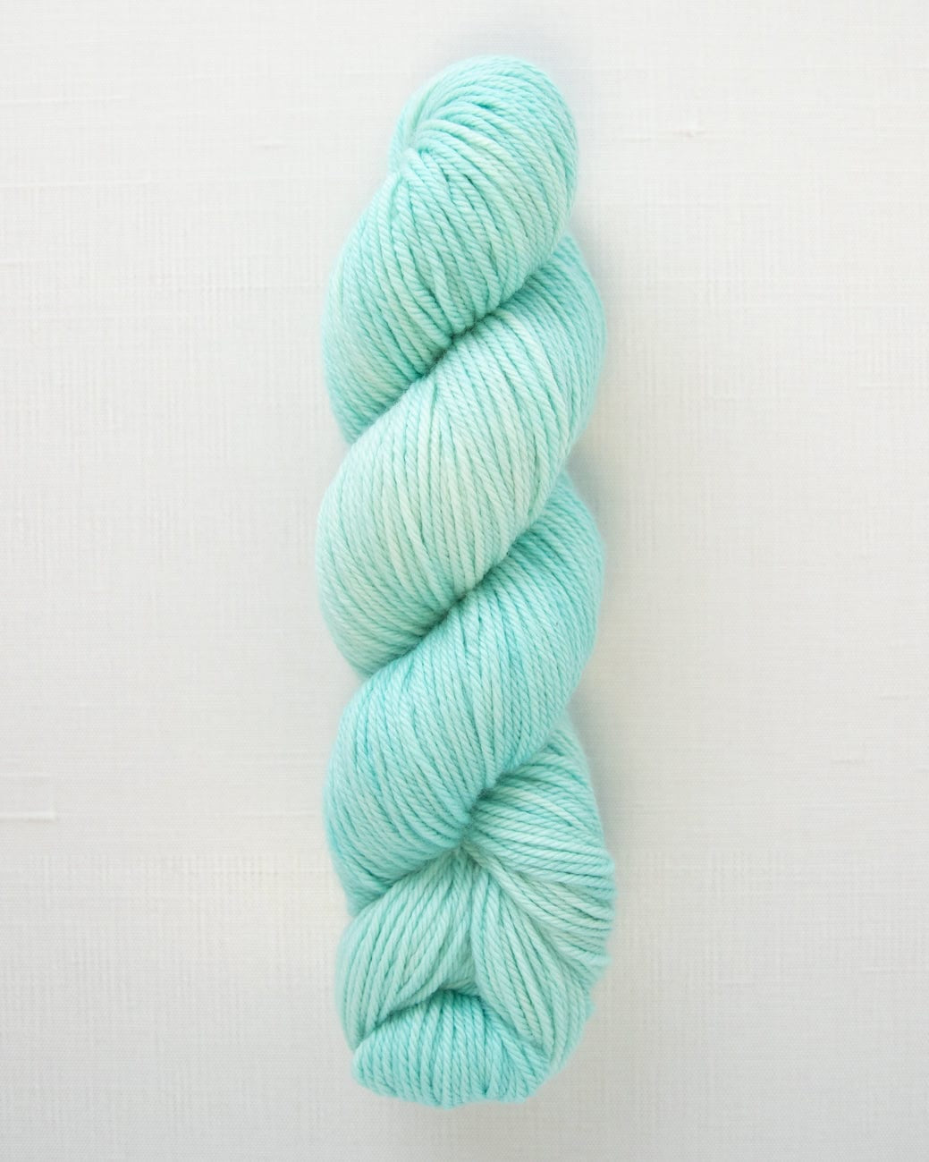 SweetGeorgia Yarns Worsted Yarns Sea Glass Superwash Worsted / Enlighten