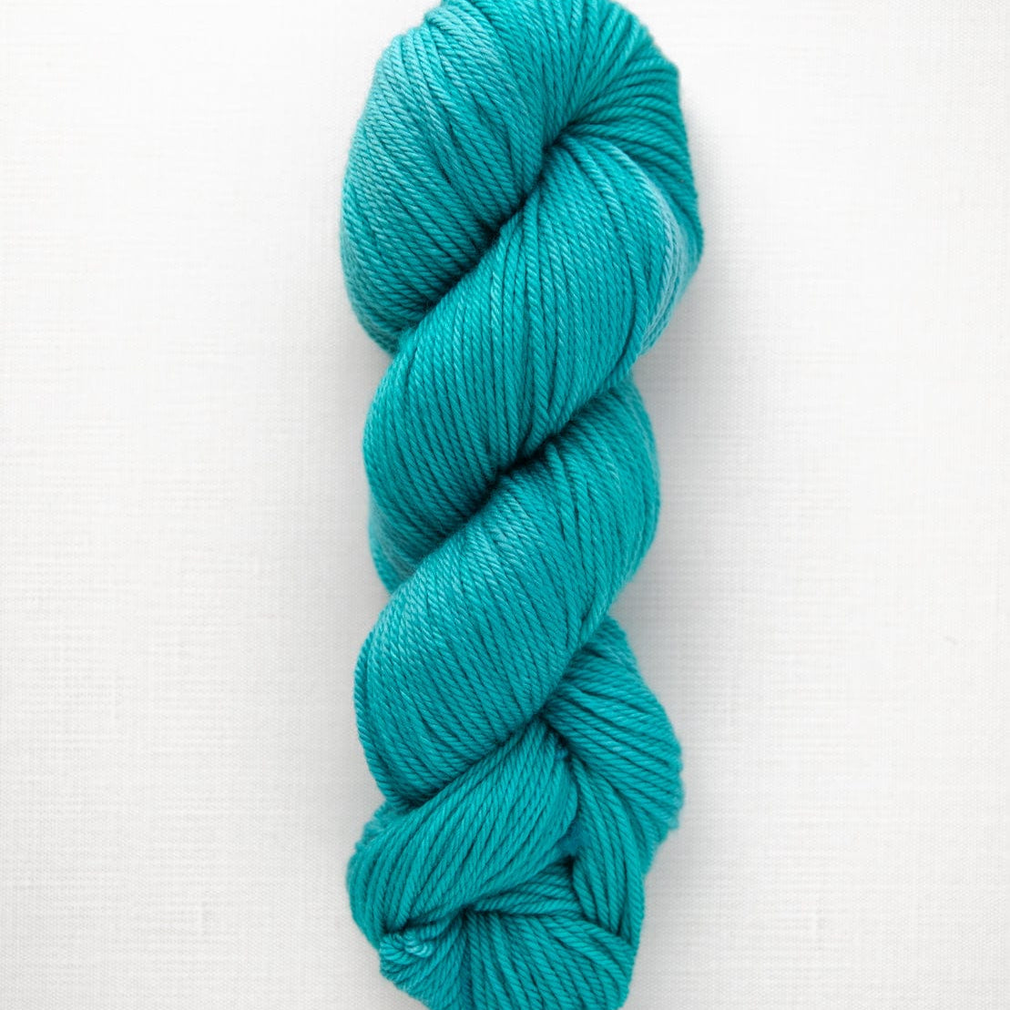SweetGeorgia Yarns Worsted Yarns Seaside Superwash Worsted