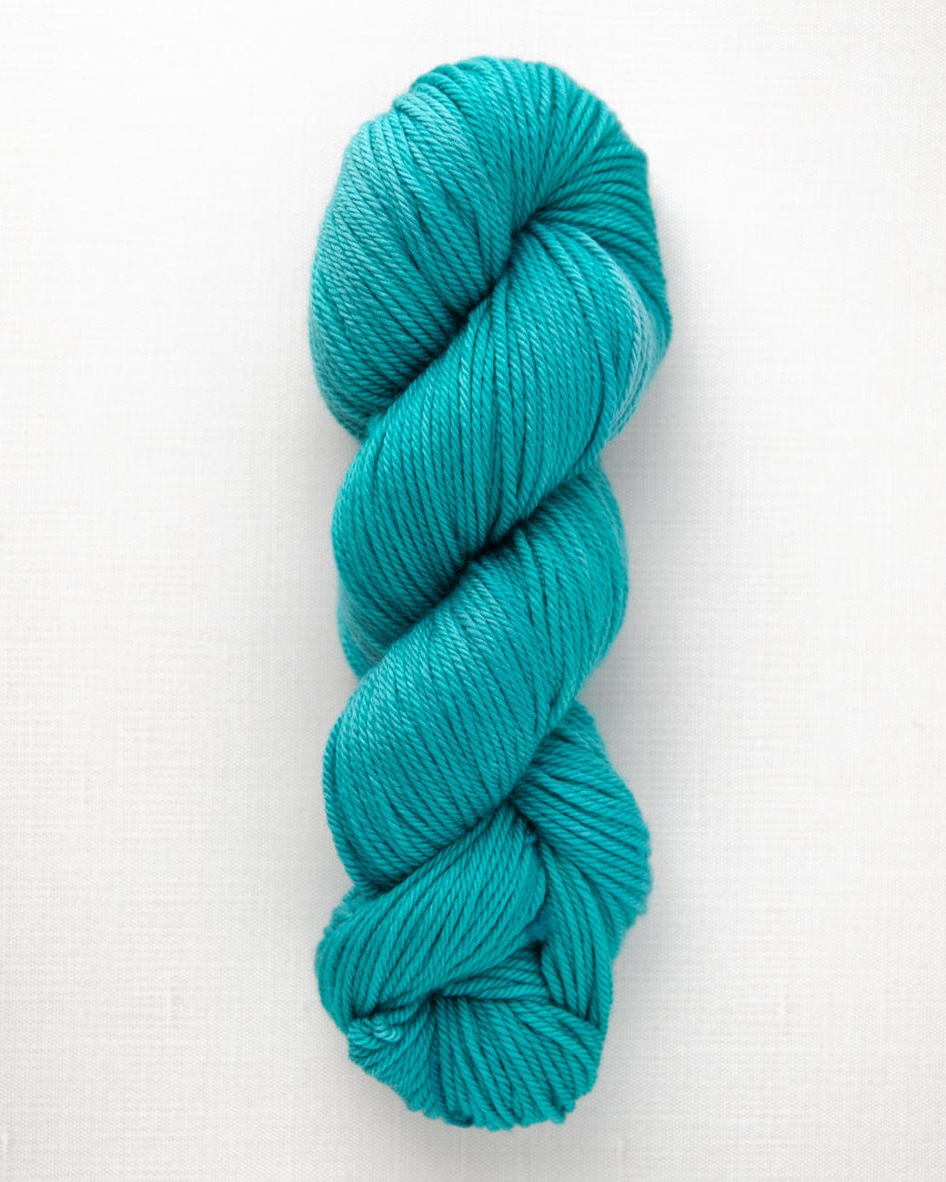 SweetGeorgia Yarns Worsted Yarns Seaside Superwash Worsted