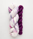 SweetGeorgia Yarns Yarn Sets Sock Kit / Tough Love Sock / Berryessa