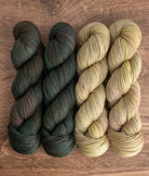 Fast Bundle DK Yarns Into The Hoods Yarn Set / Will o' the Wisp