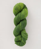 SweetGeorgia Yarns DK Yarns Basil Mohair Silk DK