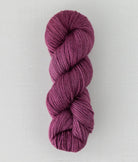 SweetGeorgia Yarns DK Yarns Black Raspberry Trifecta DK