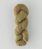 SweetGeorgia Yarns DK Yarns Boreal Forest Trifecta DK